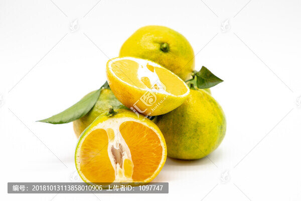 蜜橘