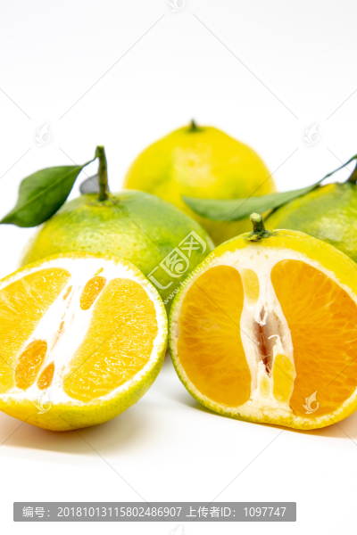 青皮蜜桔