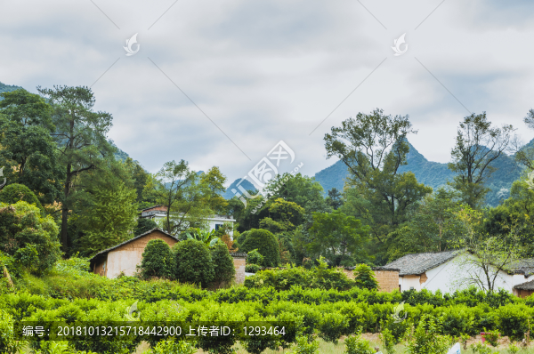 山嶺風(fēng)光