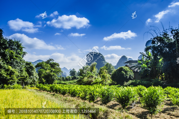 山景風(fēng)光
