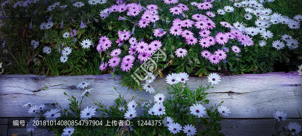 小花