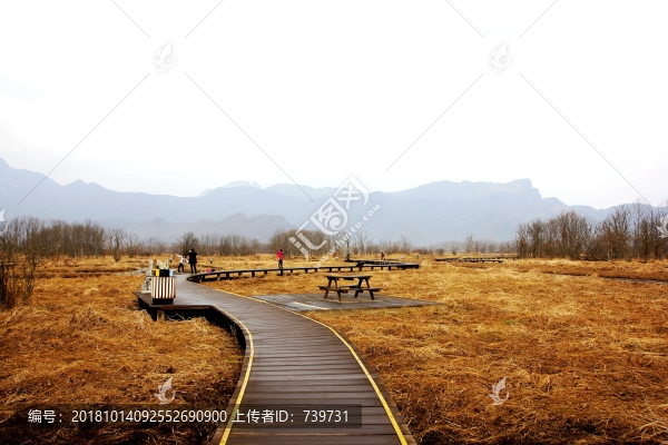 神龍架大九湖