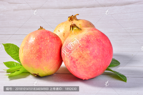 石榴高清圖