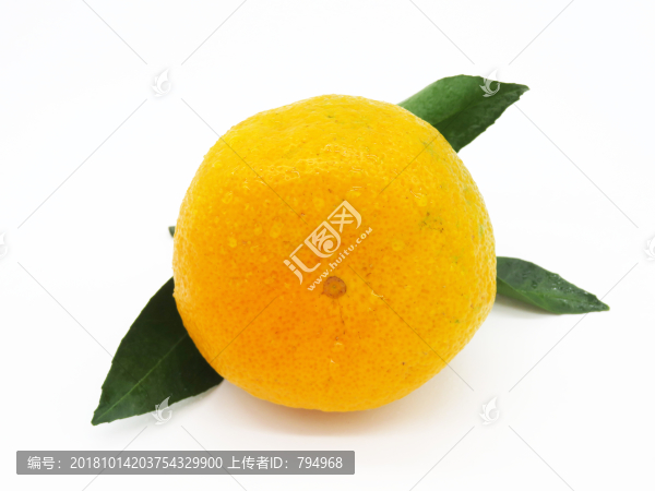 丑橘
