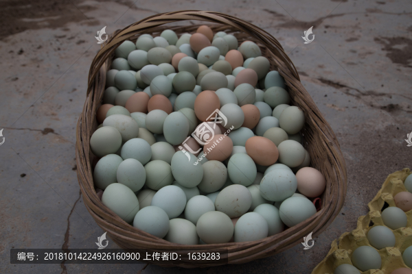 土雞蛋
