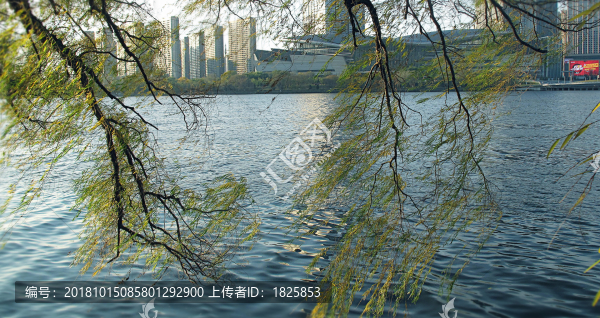 沈陽五里河畔w7