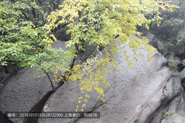 洛陽天池山石壁