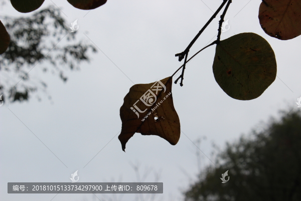 洛陽(yáng)天池山