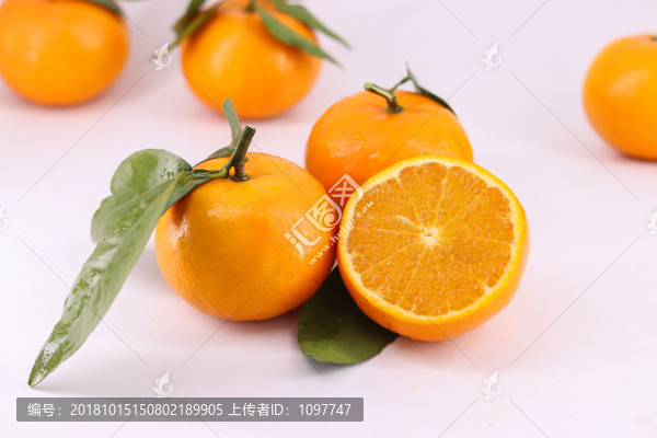 廣西沃柑