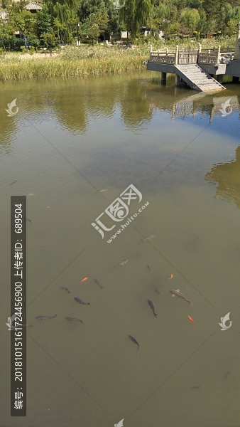 魚塘景觀