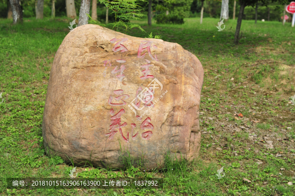 三峽奇石