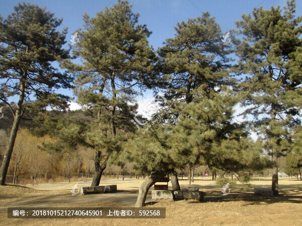 承德避暑山莊風(fēng)景