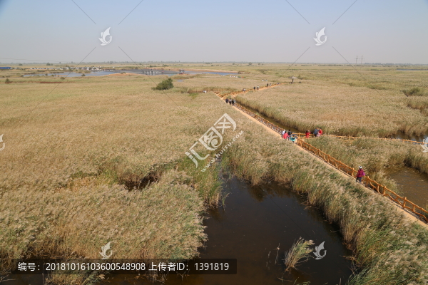東營黃河口生態(tài)旅游區(qū)