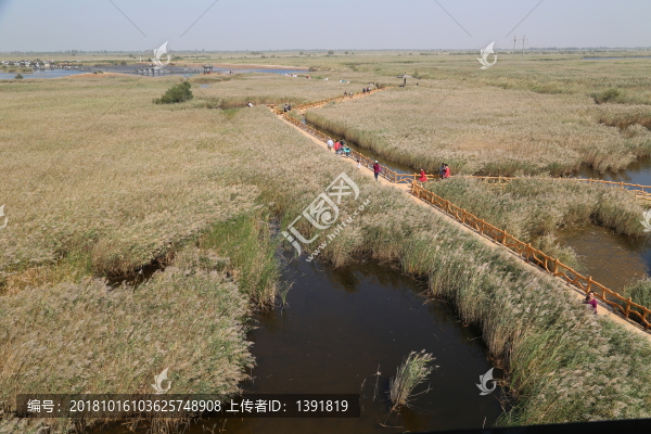東營黃河口生態(tài)旅游區(qū)