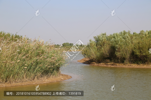 東營(yíng)黃河口生態(tài)旅游區(qū)