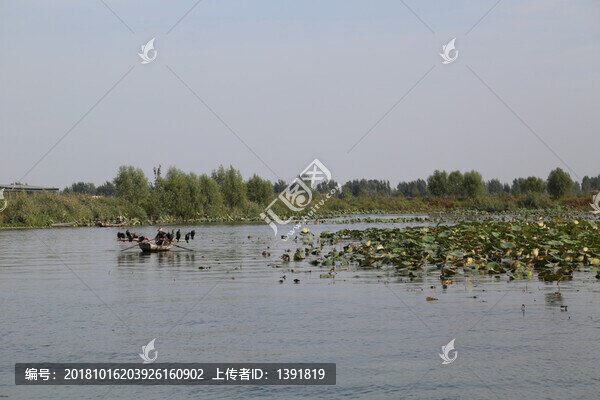 保定新縣白洋淀景區(qū)白洋淀文化苑