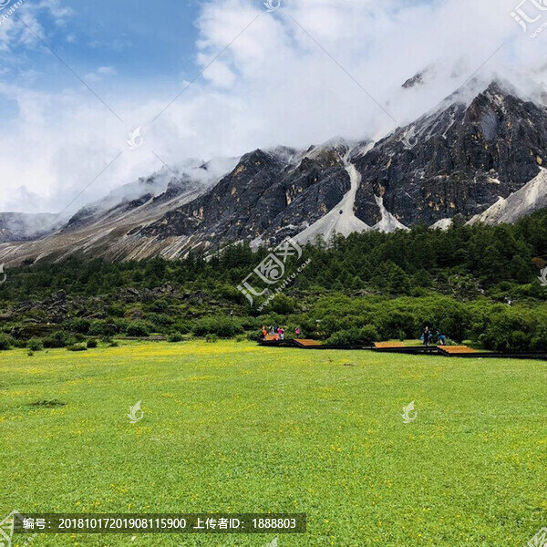 草原風(fēng)景