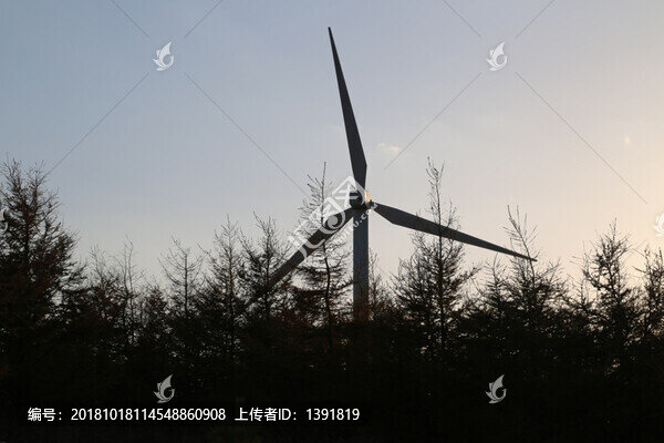 張家口崇禮樺皮嶺