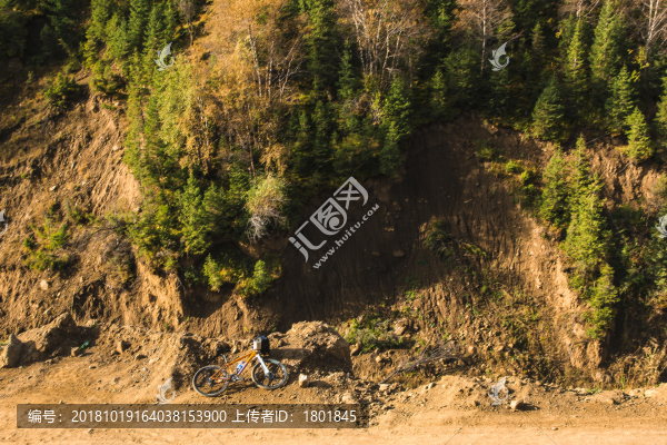 天山森林秋季