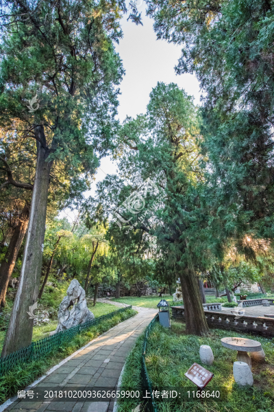 青州偶園