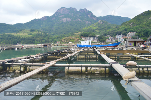 黃花魚(yú)養(yǎng)殖