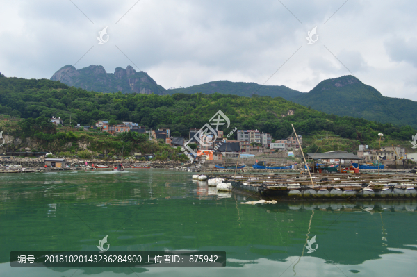 黃花魚養(yǎng)殖
