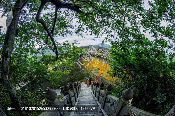 翠色紫金城