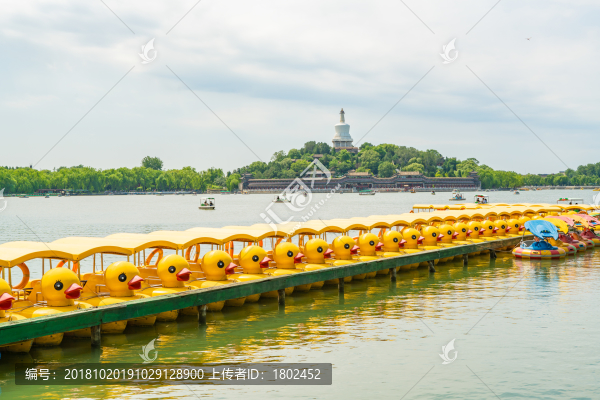 夏日北海公園