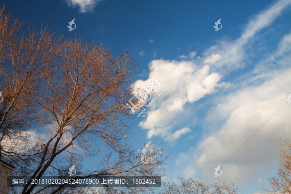 冬季天空