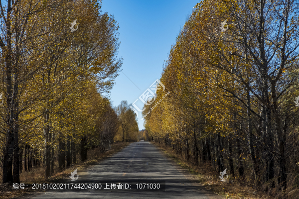 秋天公路