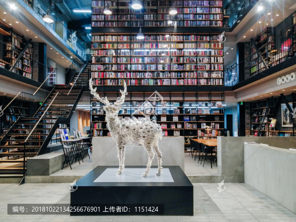 圖書館