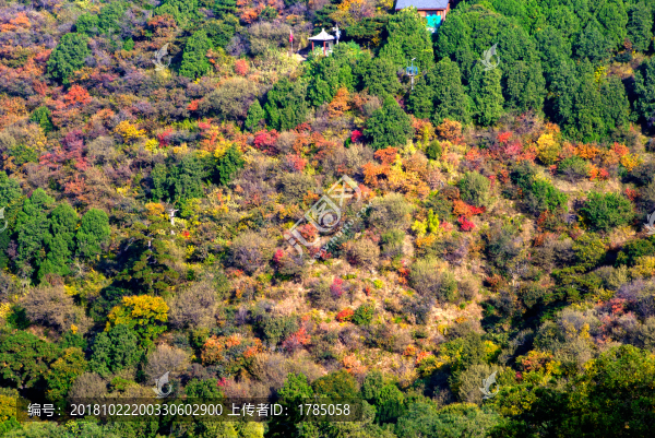 香山秋色
