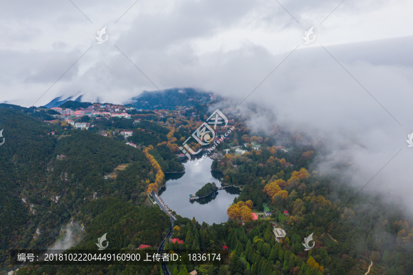 廬山如琴湖全景