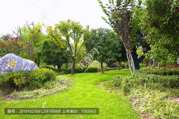 住宅小區(qū)綠化
