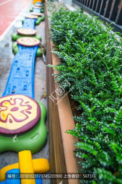 幼兒園植物