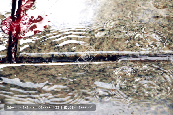 水紋的細(xì)節(jié)美
