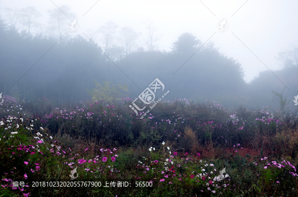 田園格?；? title=