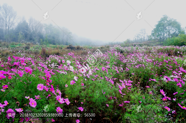 田園的格?；? title=