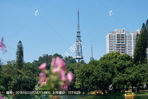 越秀公園小湖