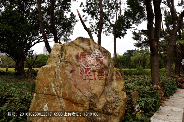 風(fēng)景