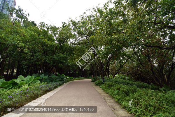 公園