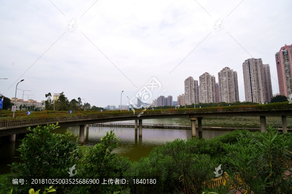橋