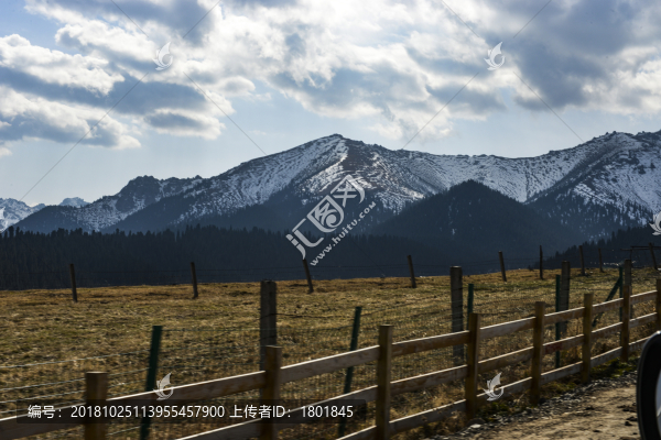 野山楂
