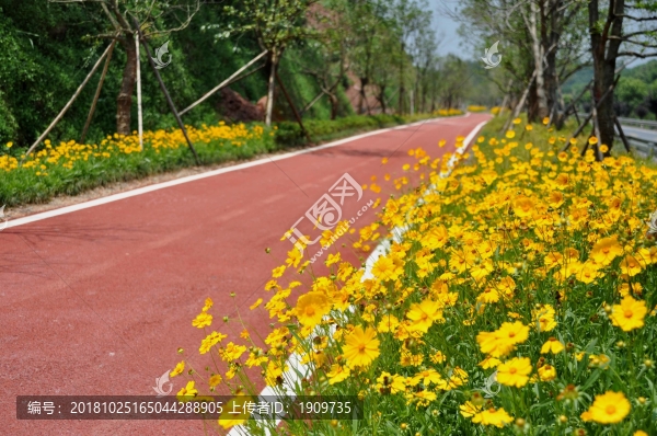 道路美景
