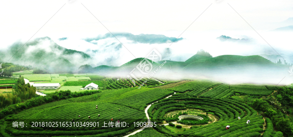 八卦圖