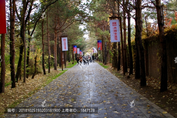 林蔭道