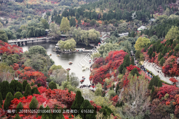 紅葉谷