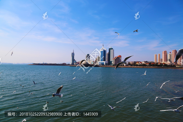 青島一角