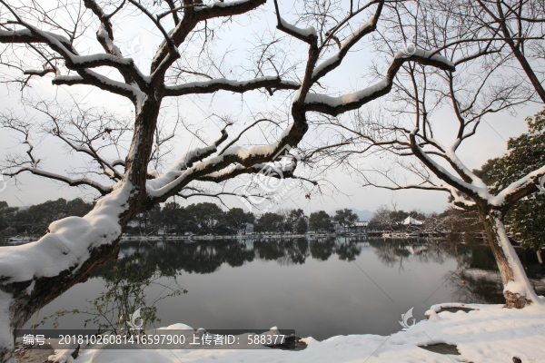 西湖雪景