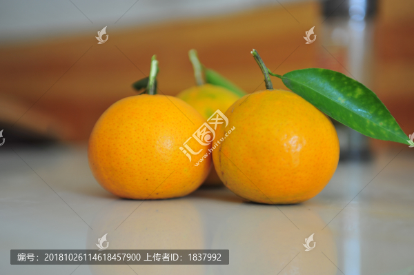 雜柑愛(ài)媛38